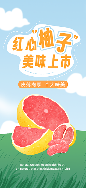 柚子水果上新海报