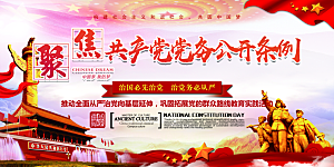 党务公开条例党建展板