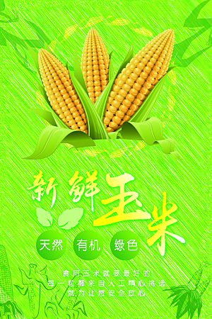 大气简约玉米宣传海报设计展板