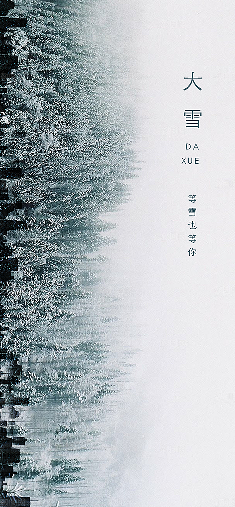 二十四节气大雪节气海报