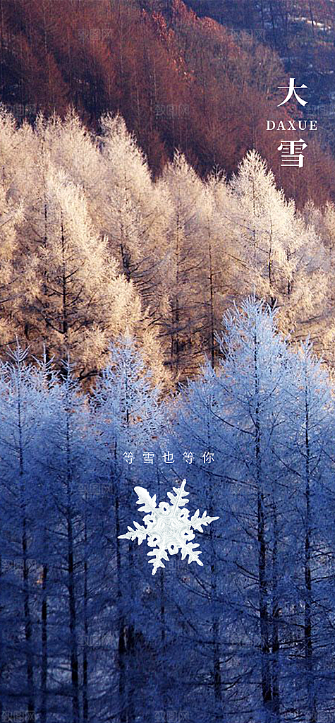 二十四节气大雪节气海报