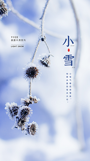 二十四节气小雪冬季海报