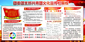 共青团委团支部党建宣传展板