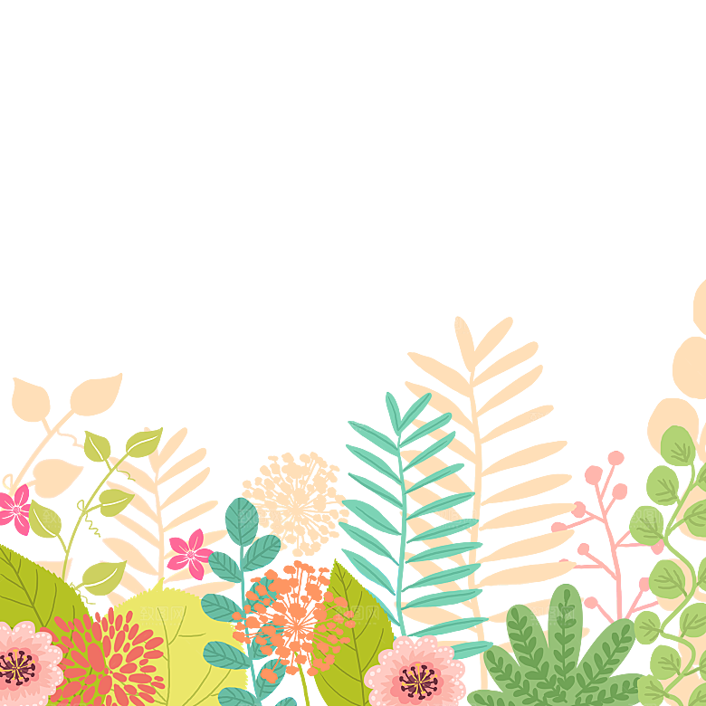 春天户外野花花卉