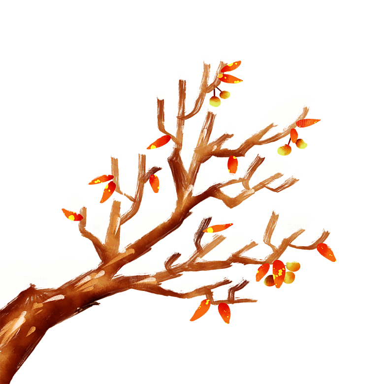 冬天冬季堆雪树枝立冬小雪大雪