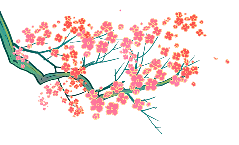 梅花树花朵花卉冬天