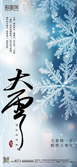 中国传统节气大雪简约雪花手机海报