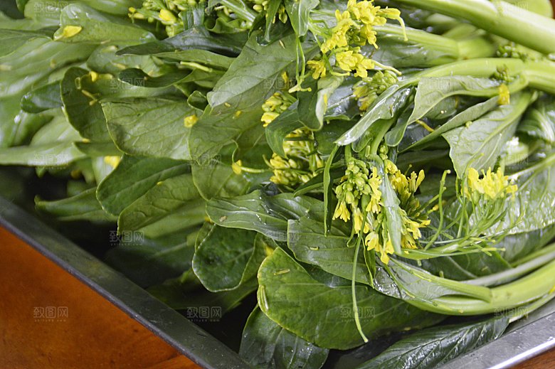 健康食物 瓜果蔬菜