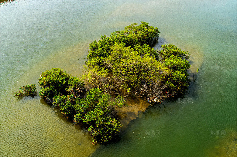 海南红树林海滩自然风光