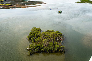 海南红树林海滩自然风光