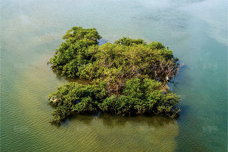 海南红树林海滩自然风光