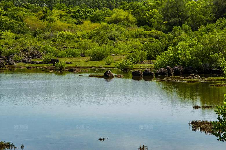 海南岛 儋州峨蔓风力发电机场