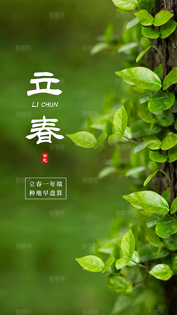 二十四节气立春海报