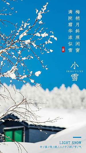 小雪节日节气摄影图海报