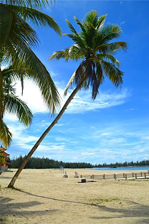 海南风光 海南文昌椰林湾