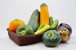 种子经太空遨游后种植的瓜果蔬菜