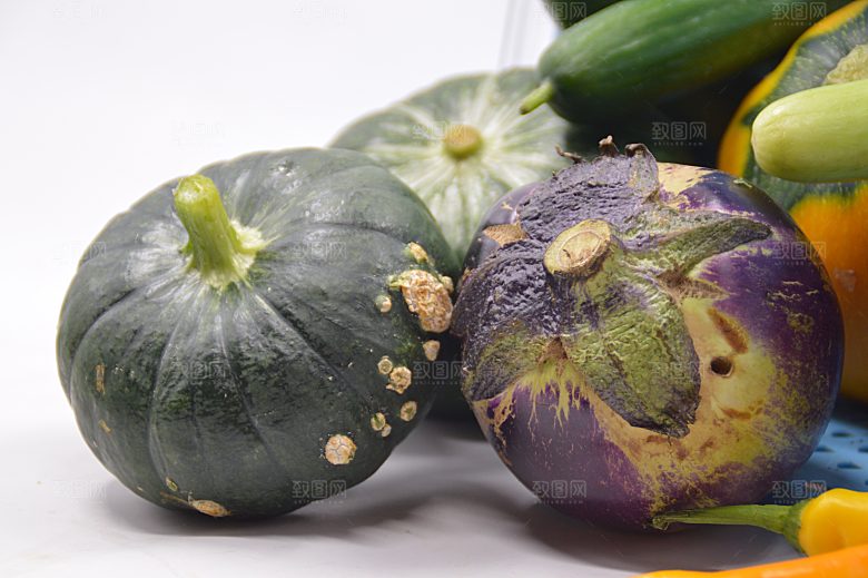 种子经太空遨游后种植的瓜果蔬菜