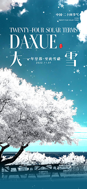 中国传统节气大雪简约大气手机海报