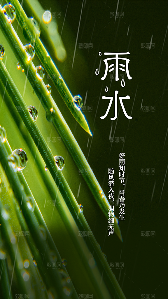 二十四节气雨水海报