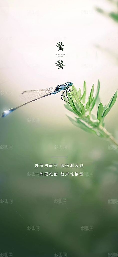 惊蛰二十四节气海报