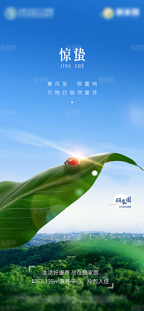 惊蛰二十四节气海报