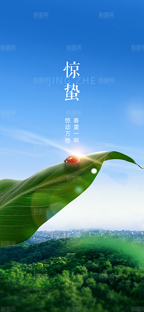 惊蛰二十四节气海报