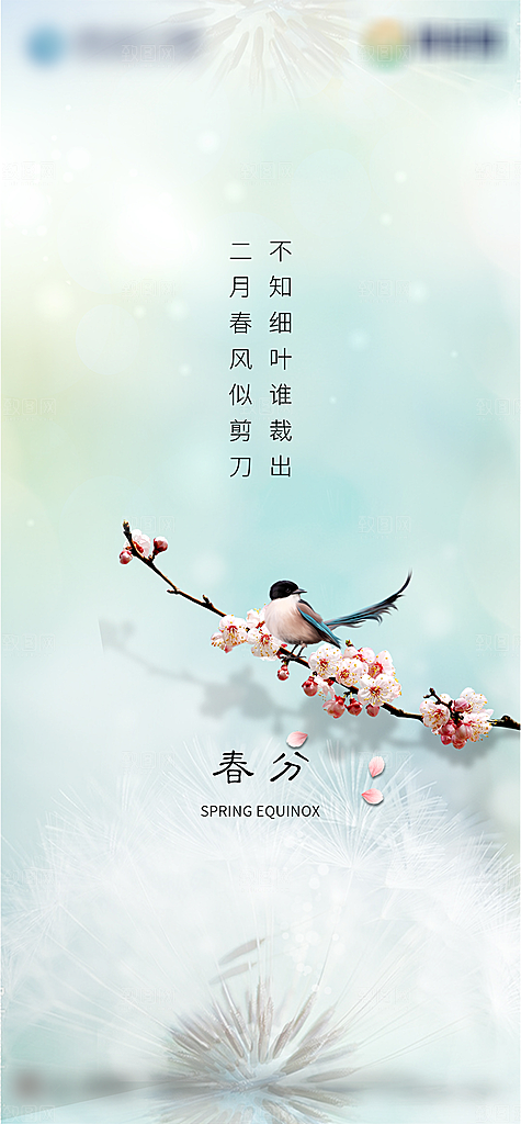 春分二十四节气海报