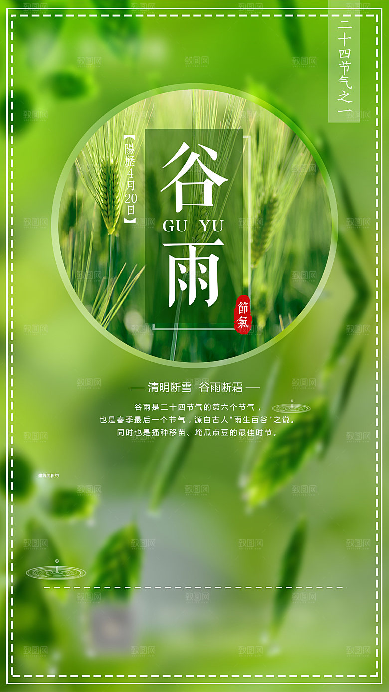 谷雨二十四节气海报