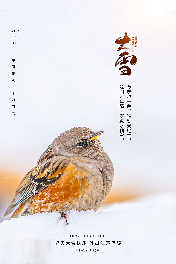 大雪二十四节气海报
