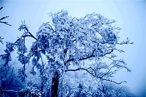 湖南 张家界天门山雪景