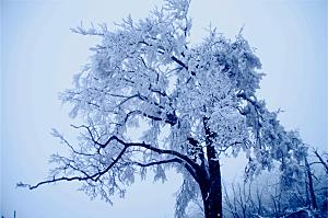 湖南 张家界天门山雪景