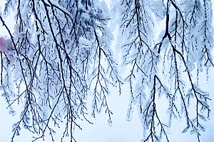 湖南 张家界天门山雪景