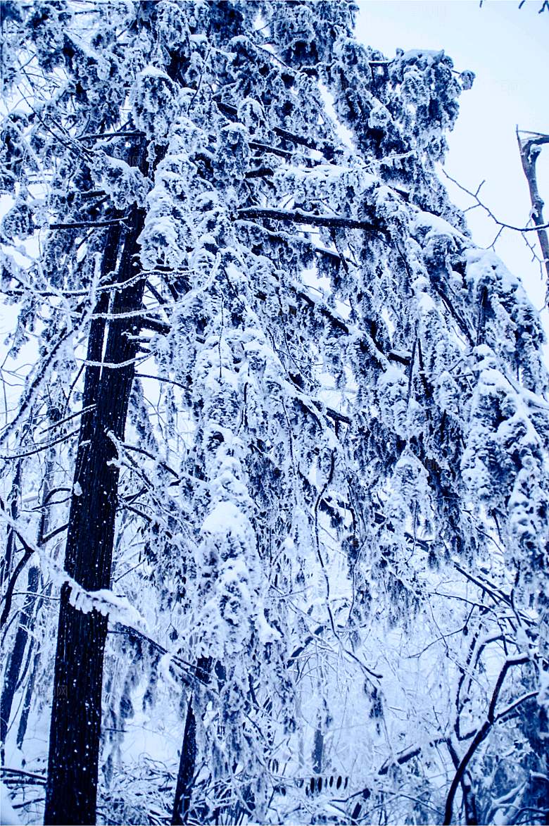 湖南 张家界天门山雪景