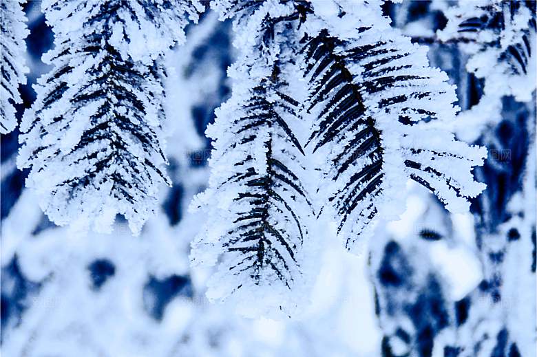 湖南 张家界天门山雪景