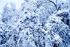 湖南 张家界天门山雪景