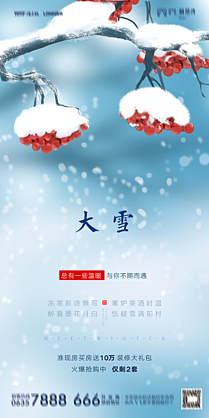 地产二十四节气大雪海报