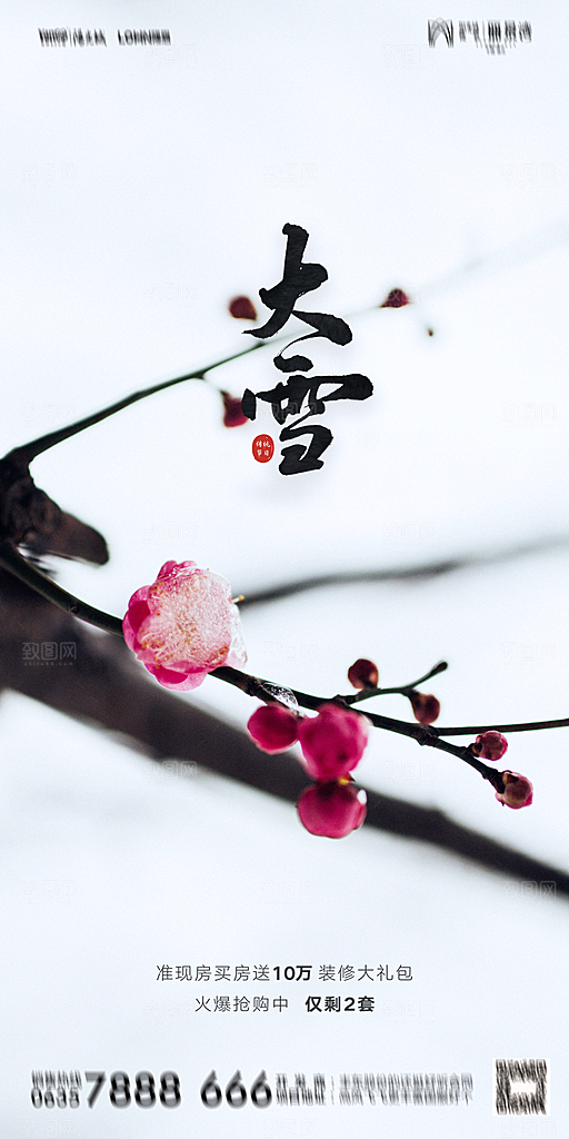 地产二十四节气大雪海报