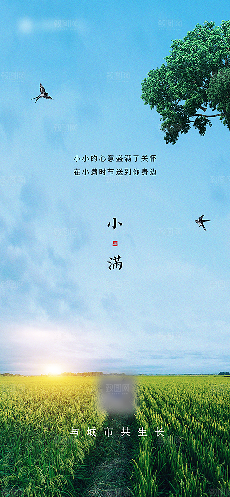 小满二十四节气创意海报