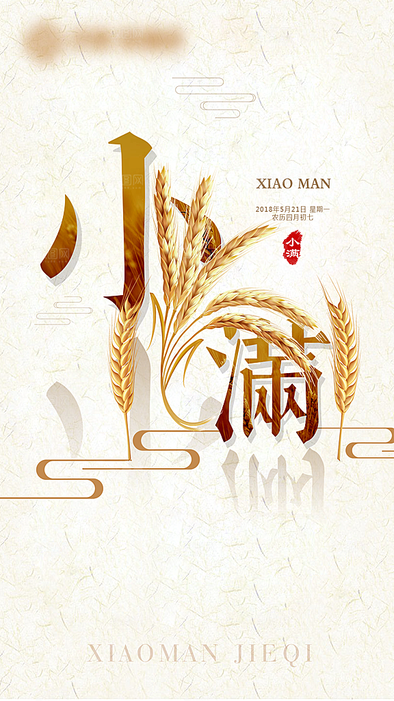 小满二十四节气创意海报