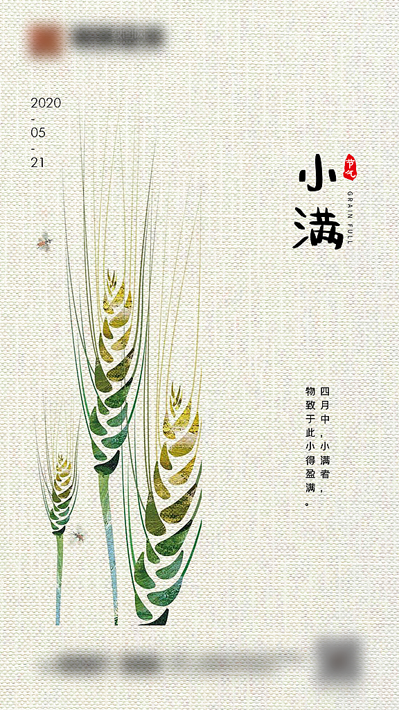 小满二十四节气创意海报