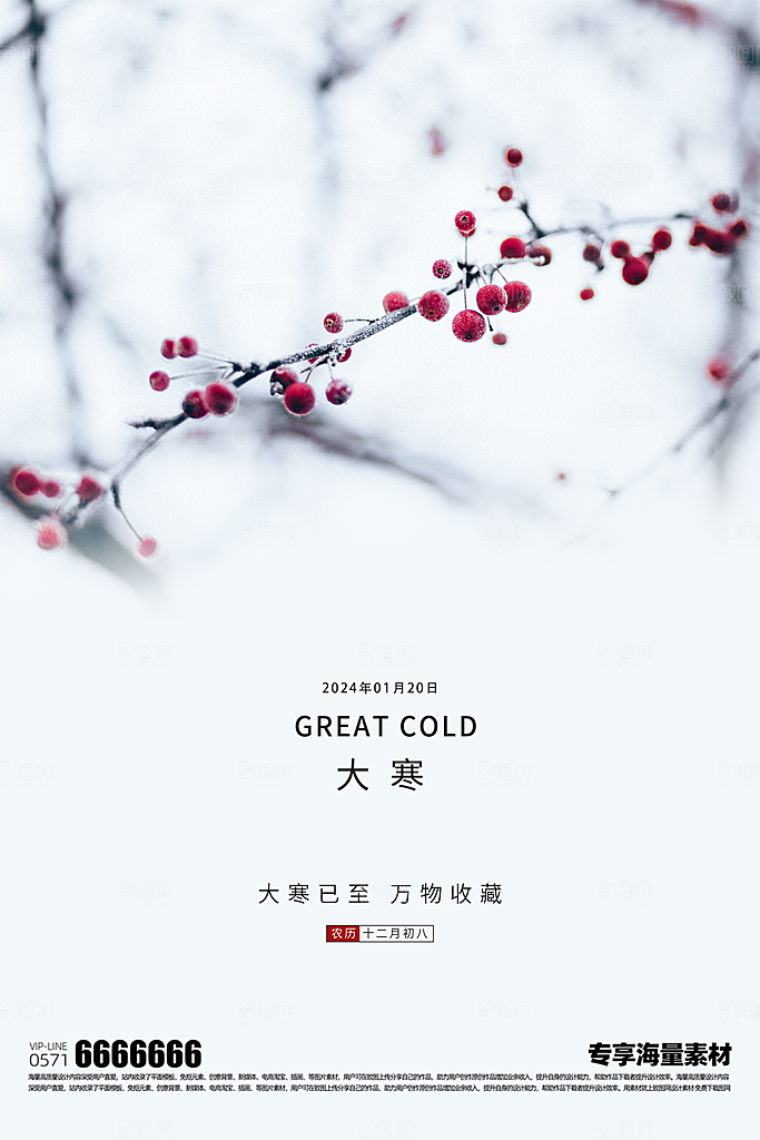 大寒二十四节气海报