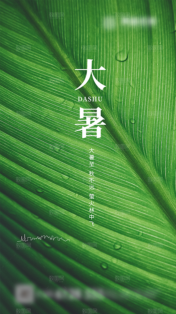 大暑二十四节气创意海报