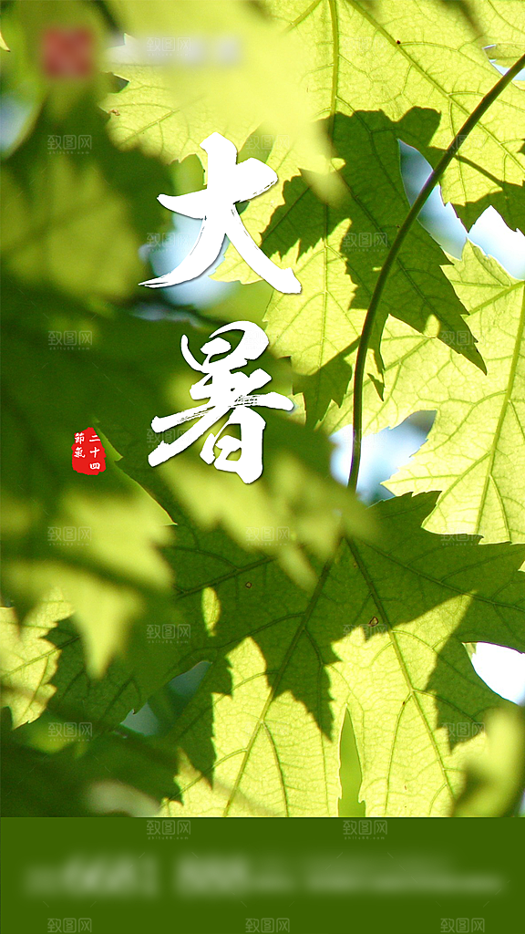 大暑二十四节气创意海报