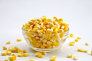 农作物新鲜玉米 图片