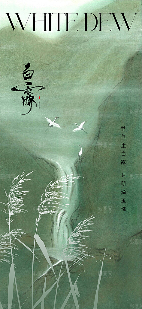 白露节气宣传海报