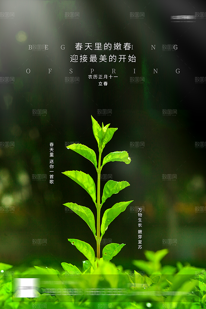 立春二十四节气海报