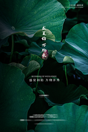 立夏二十四节气海报