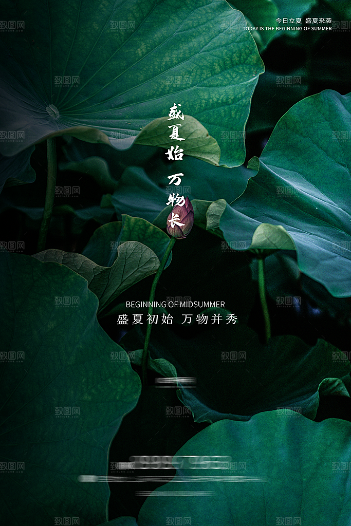 立夏二十四节气海报