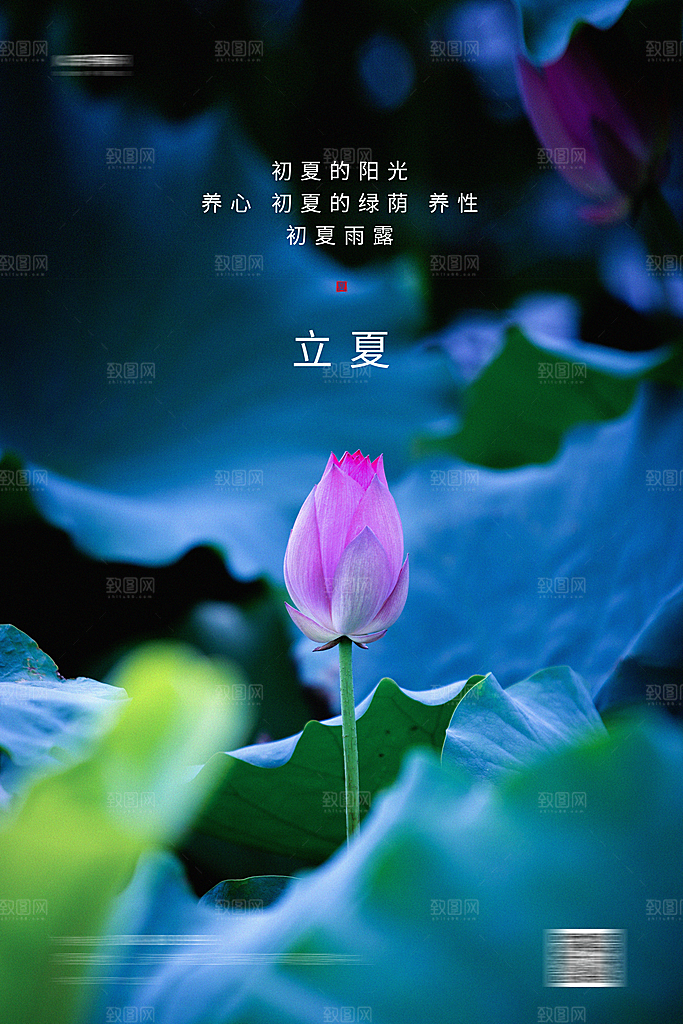 立夏二十四节气海报