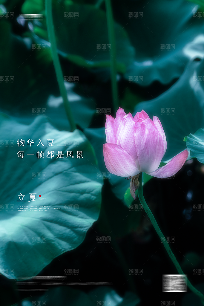 立夏二十四节气海报